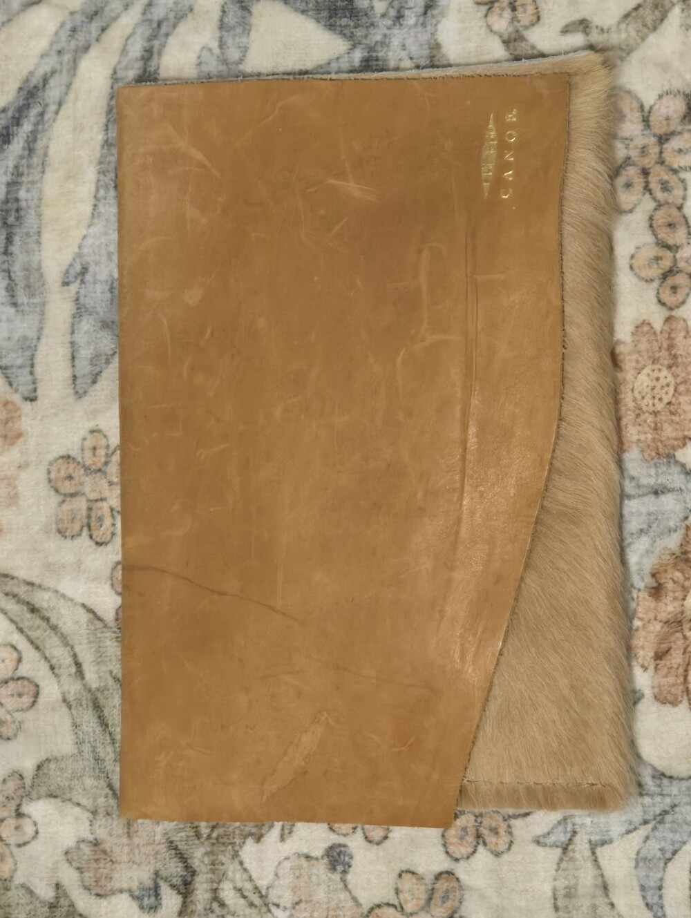 CANOE Haircalf Cowhide & Leather Envelope Clutch Camel